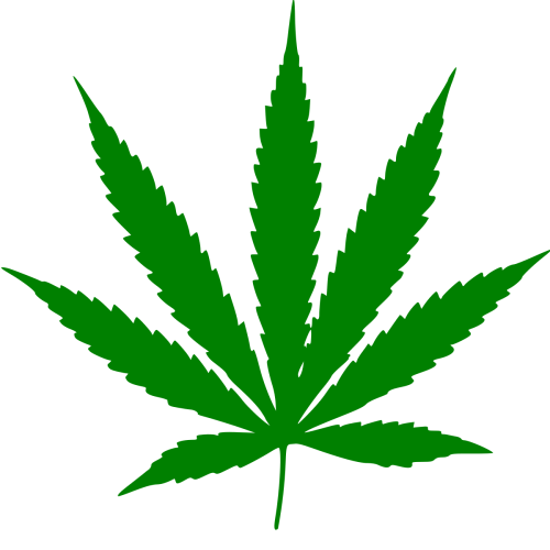 Cannabis_leaf.svg Cannabis_leaf.svg